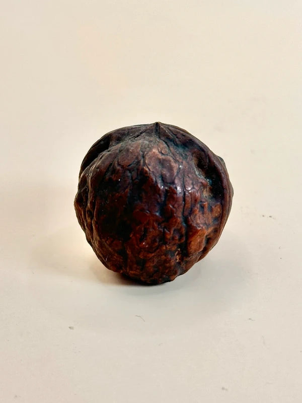 FT160 - Netsuke Daruma en forme de noyer sculpté