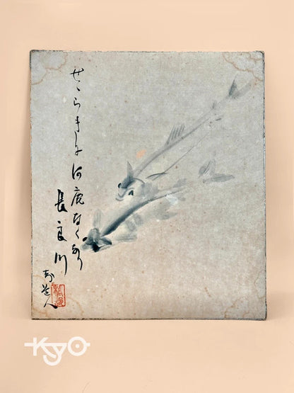SHP011 - Original Shikishi artwork card Nagara River 長良川