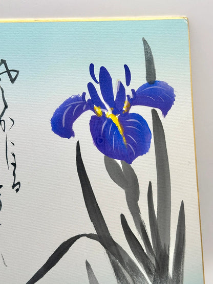 SHP76 - Orignal shikishi artwork card  Iris 菖蒲