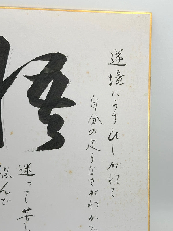 SHP37 - Original Shikishi artwork card Japan