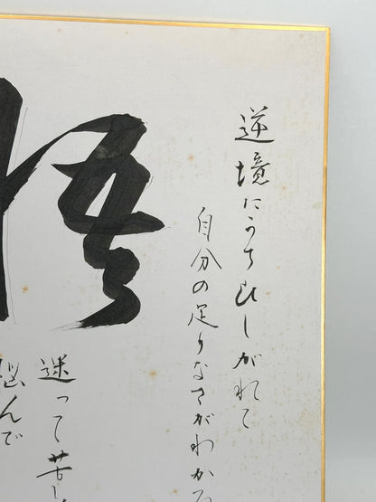 SHP37 - Original Shikishi artwork card Japan