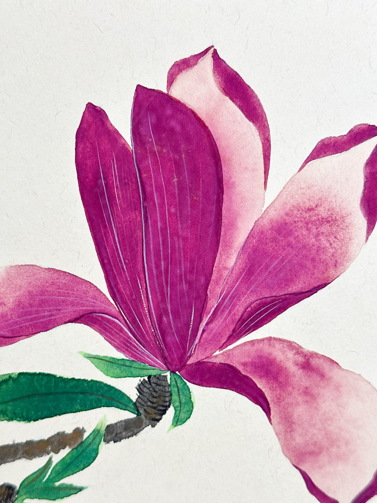 SHP402 - Shikishi Magnolia Blossoms by Ryōshō 蓼宵