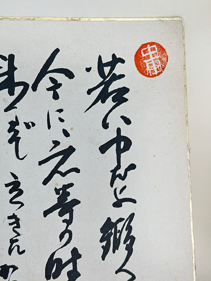 SHP241 - Calligraphie vintage Shikishi de la Force 力