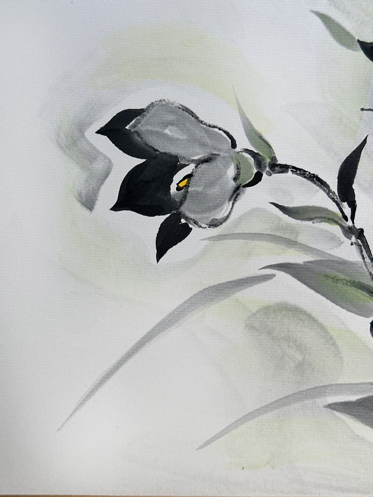 SHP256 - Œuvre sur Shikishi Kikyo bellflower 桔梗