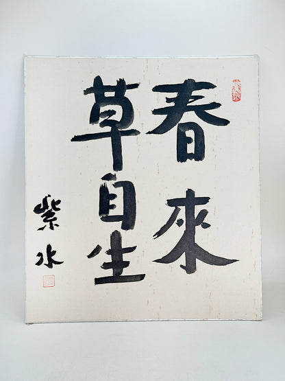 SHP251 - Carte Shikishi avec la phrase Zen de Shisui
