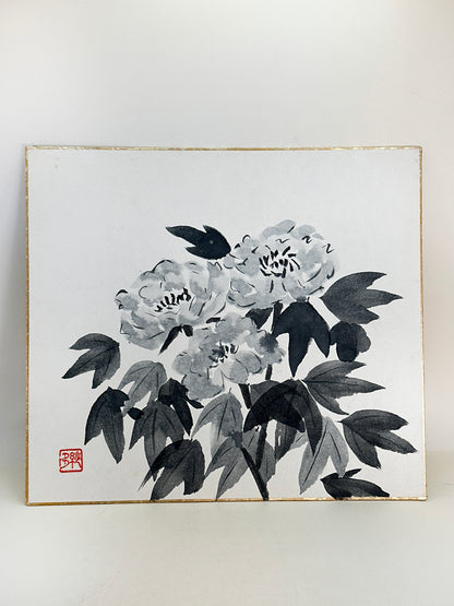 SHP255 - Shikishi Encre représentant une Pivoine 牡丹