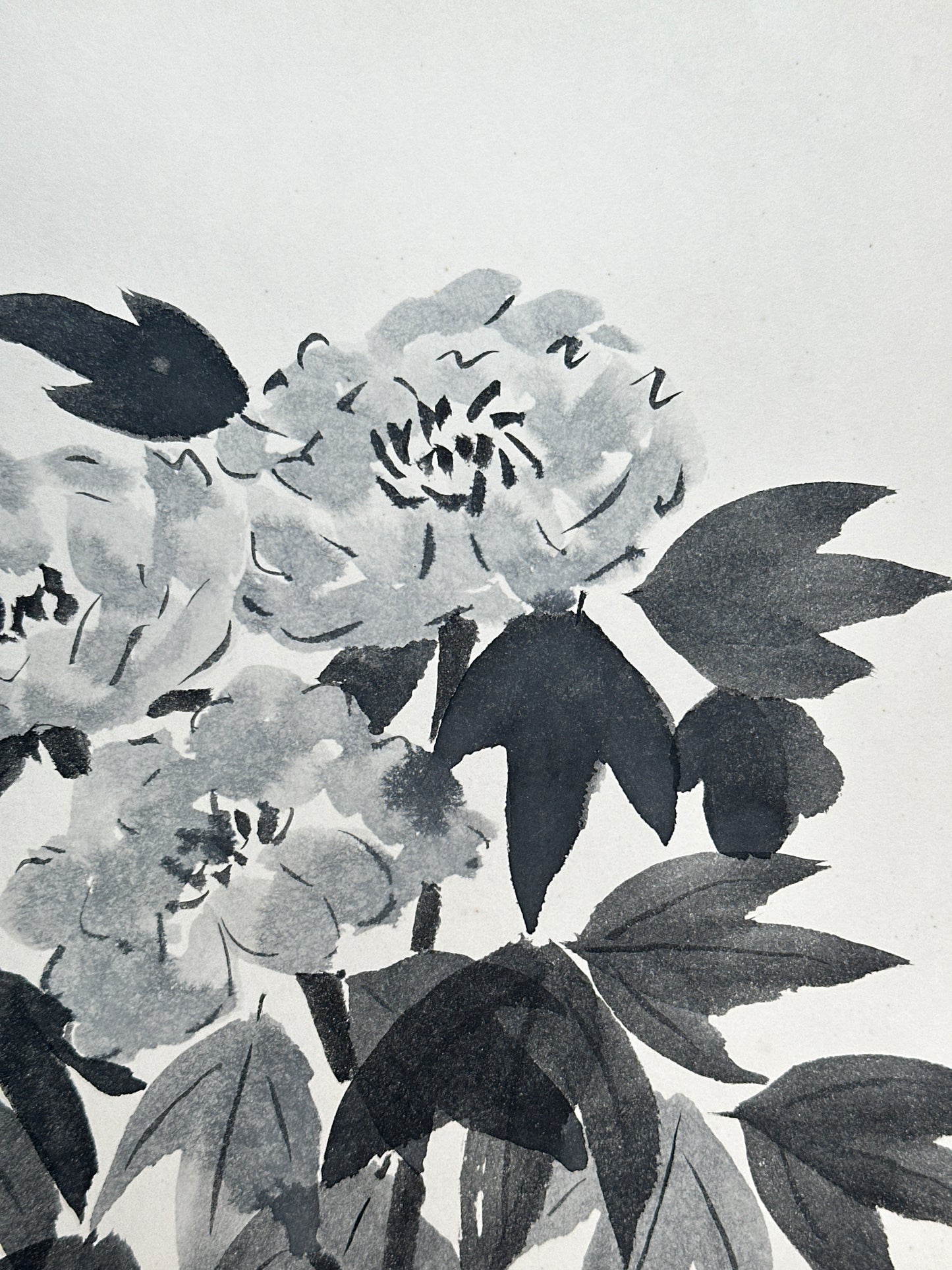 SHP255 - Shikishi Encre représentant une Pivoine 牡丹