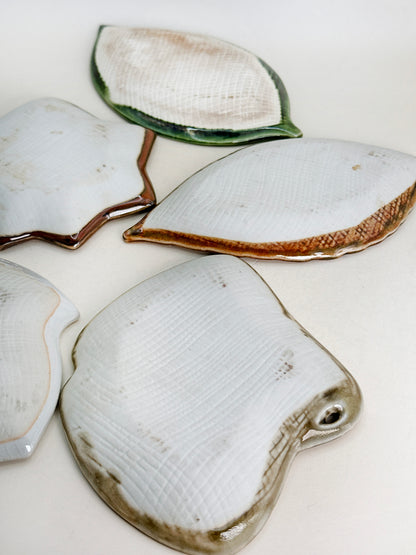 TB209 - Small Plate Set by Tachikichi たち吉