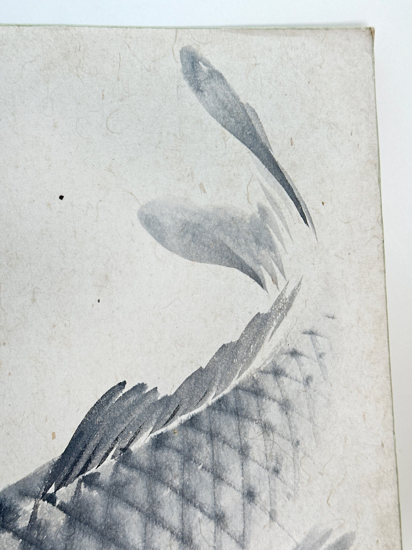 SHP258 - Shikishi Ink artwork of Koi Fish 鯉