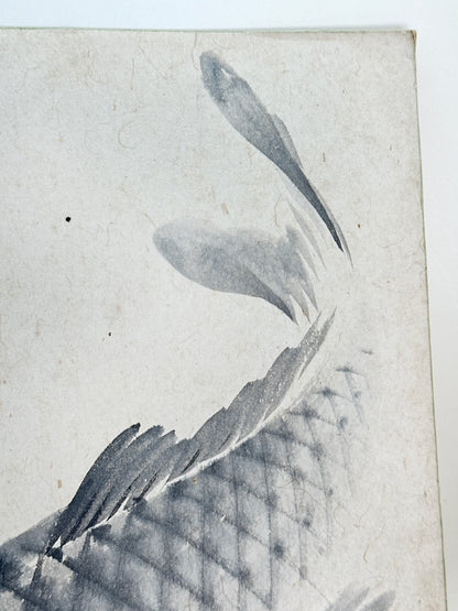 SHP258 - Shikishi Ink artwork of Koi Fish 鯉