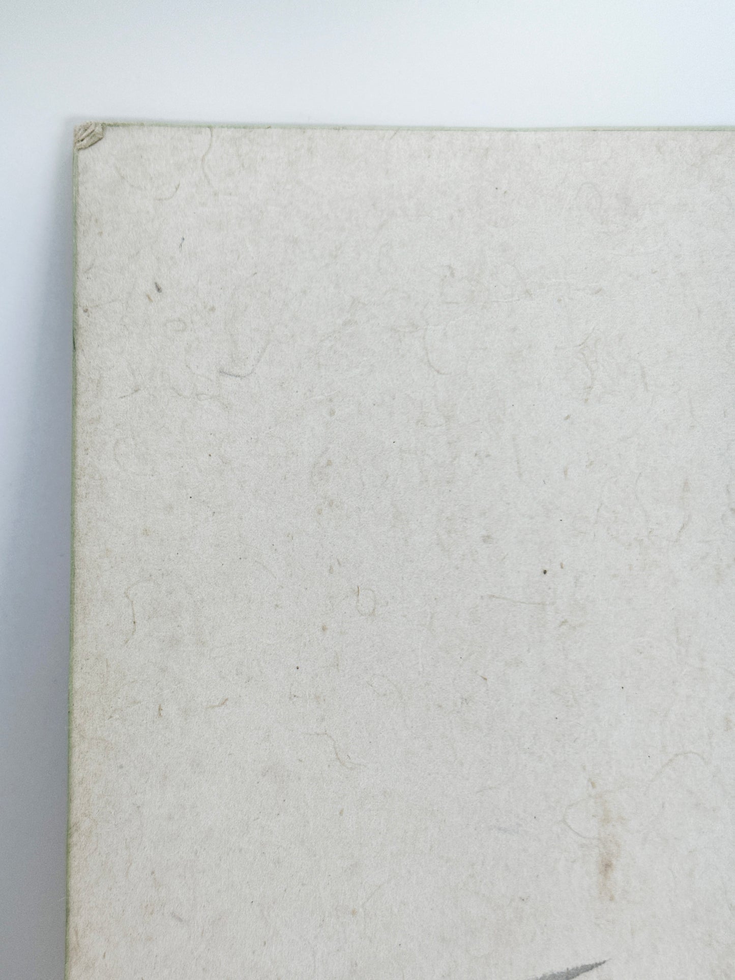 SHP258 - Shikishi Ink artwork of Koi Fish 鯉