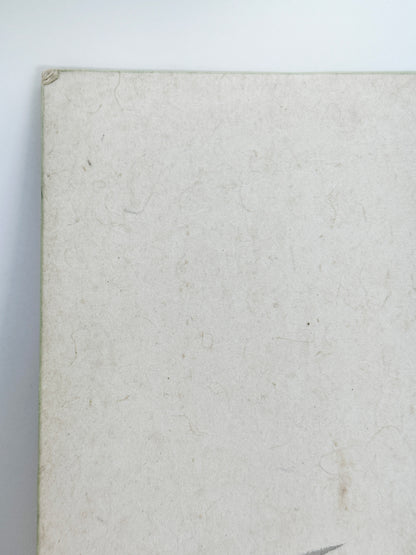 SHP258 - Shikishi Ink artwork of Koi Fish 鯉