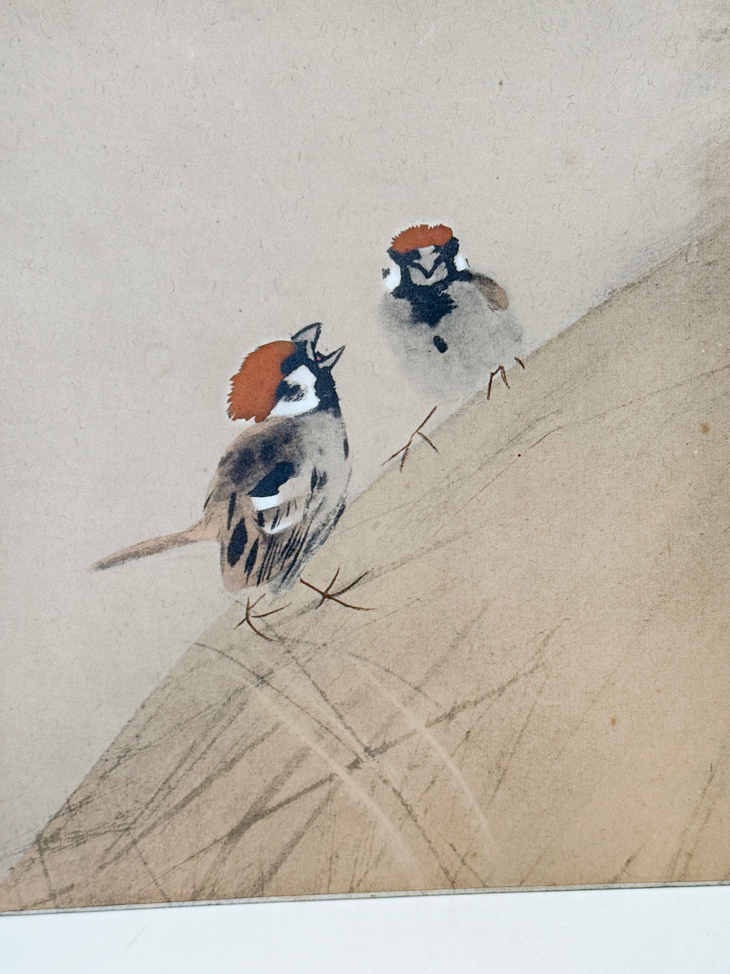 SHP266 - Shikishi print of Takeuchi Seihō 竹内栖鳳