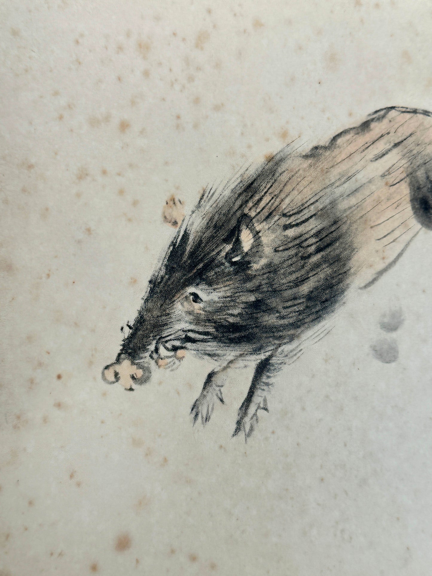 SHP180 - Sanglier Shikishi Art par Ōtsuka Kōgeisha 大塚巧藝社