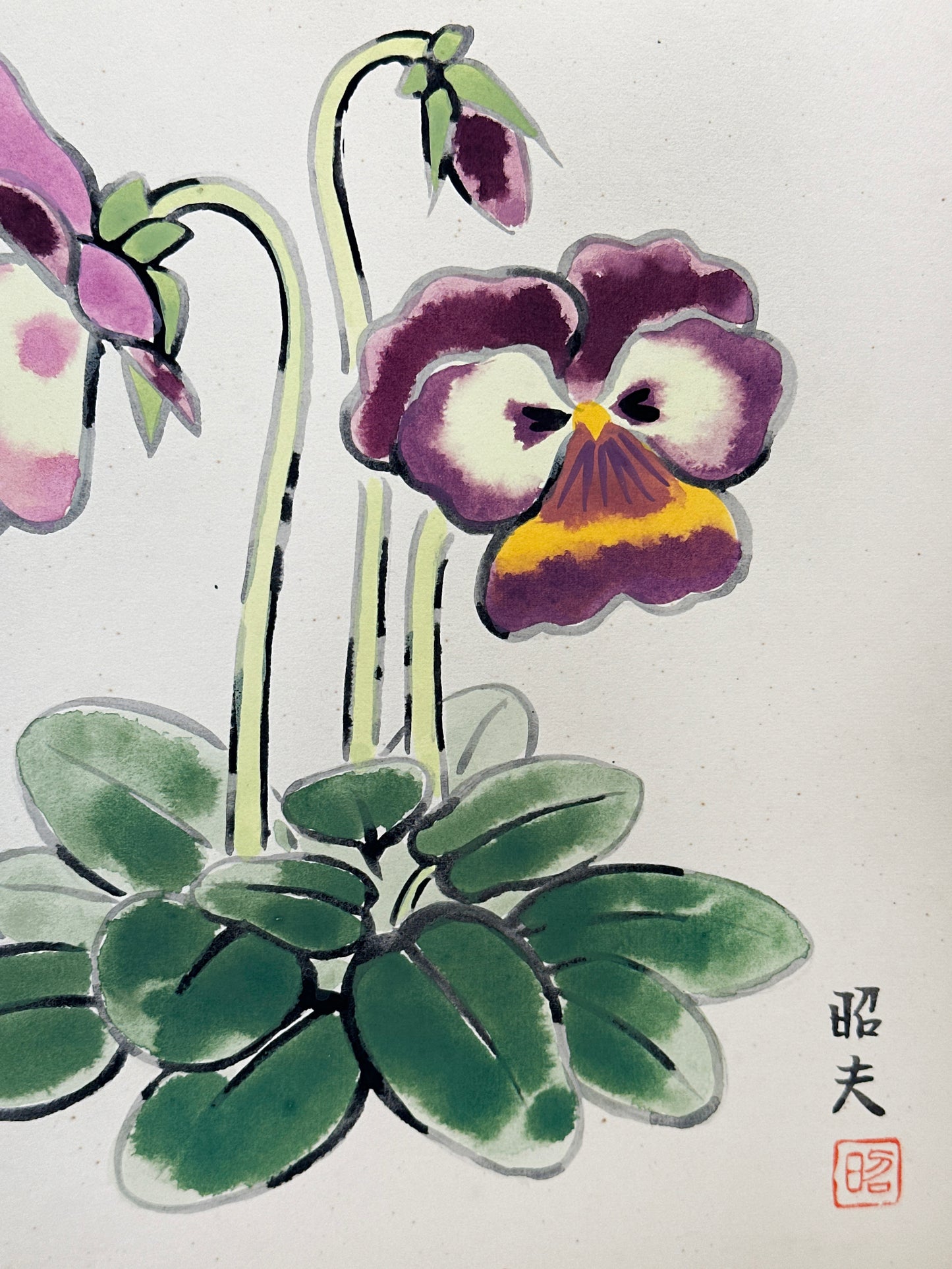 SHP284 - Illustration shikishi Pensées パンジー