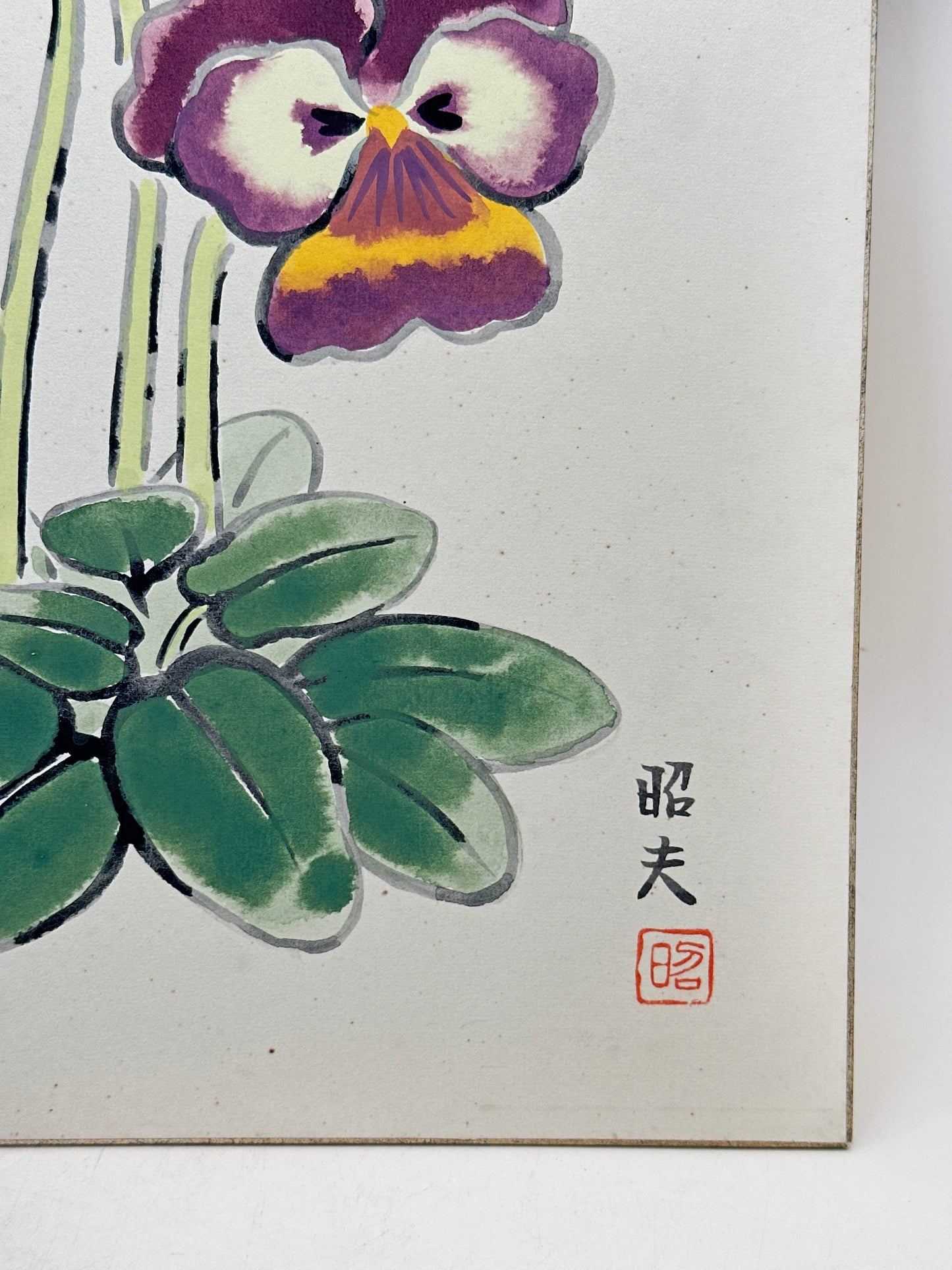 SHP284 - Illustration shikishi Pensées パンジー