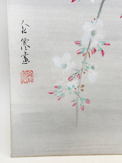 SHP286 - Shikishi Night Cherry Blossoms 夜桜図