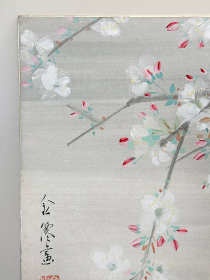 SHP286 - Shikishi Night Cherry Blossoms 夜桜図