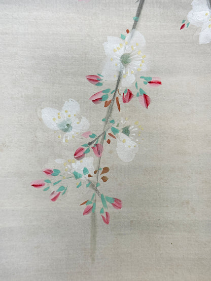 SHP286 - Shikishi Night Cherry Blossoms 夜桜図
