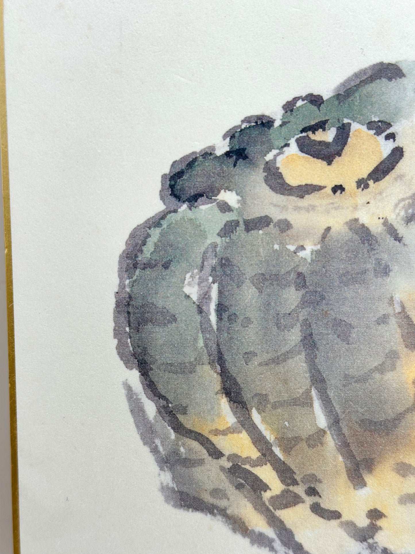 SHP203 - Impression Shikishi par Yoshikawa Masahiko 吉川正彦