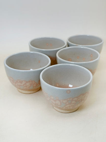 TB244 - Ensemble de tasses à thé Hagi-yaki par Tenpōzan 萩焼