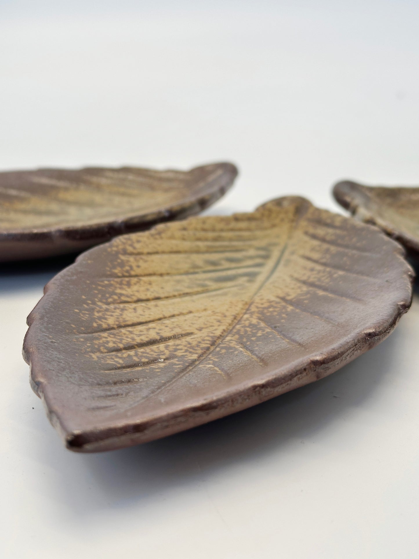 TB252 - Tanba-yaki Leaf Plates Set 丹波立杭焼