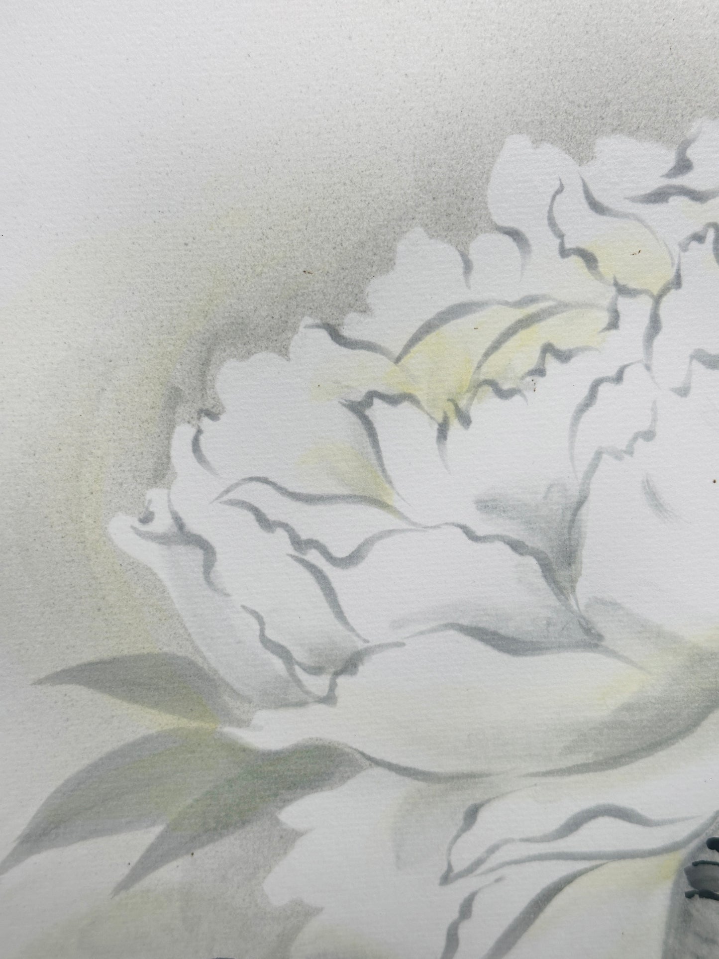 SHP209 - Hand-Painted Shikishi – White Peony 牡丹図