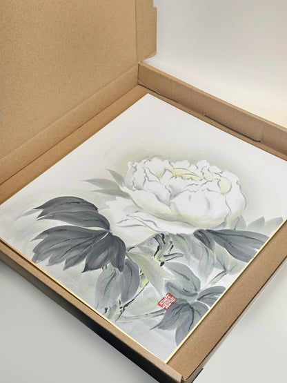 SHP209 - Hand-Painted Shikishi – White Peony 牡丹図