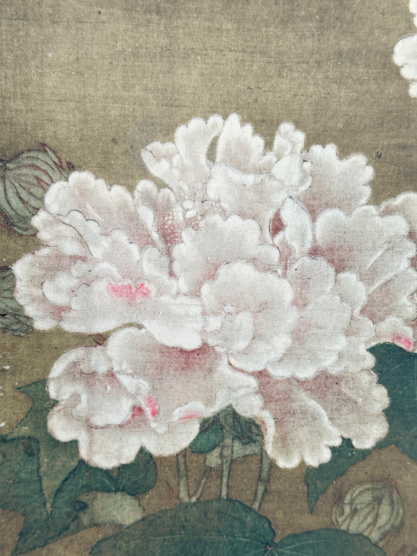 SHP210 - Vintage Shikishi Print — Red and White Cotton Roses by Li Di 李迪