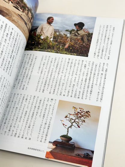 BK58 - Magazine d'art égyptien ancien 古代エジプト美術