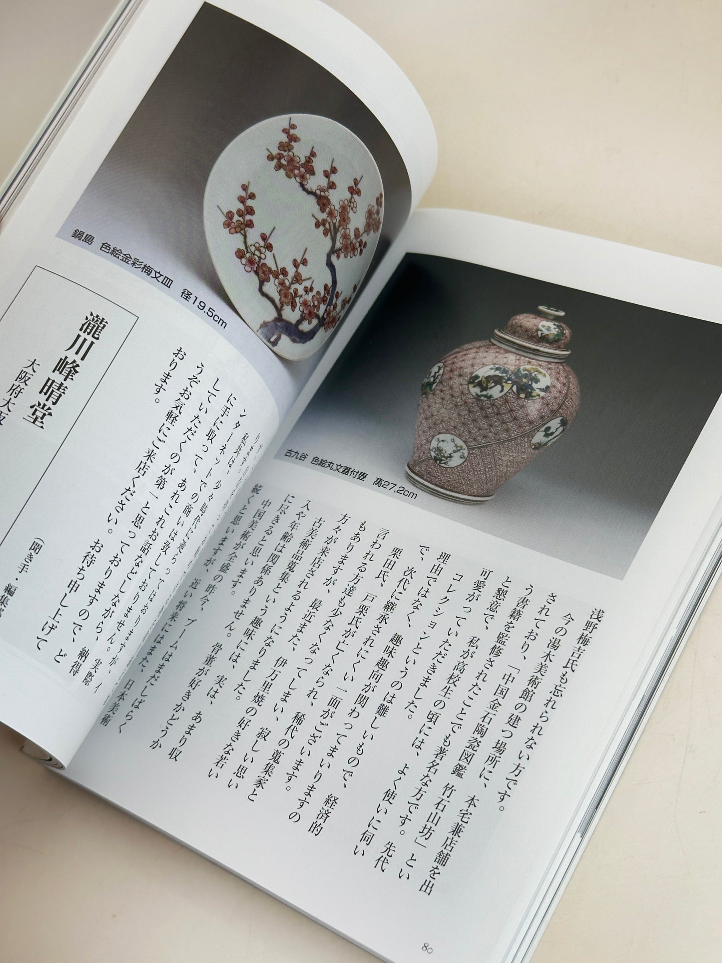 BK05 - Livre japonais de paysages et d'artisanat populaire 古民藝