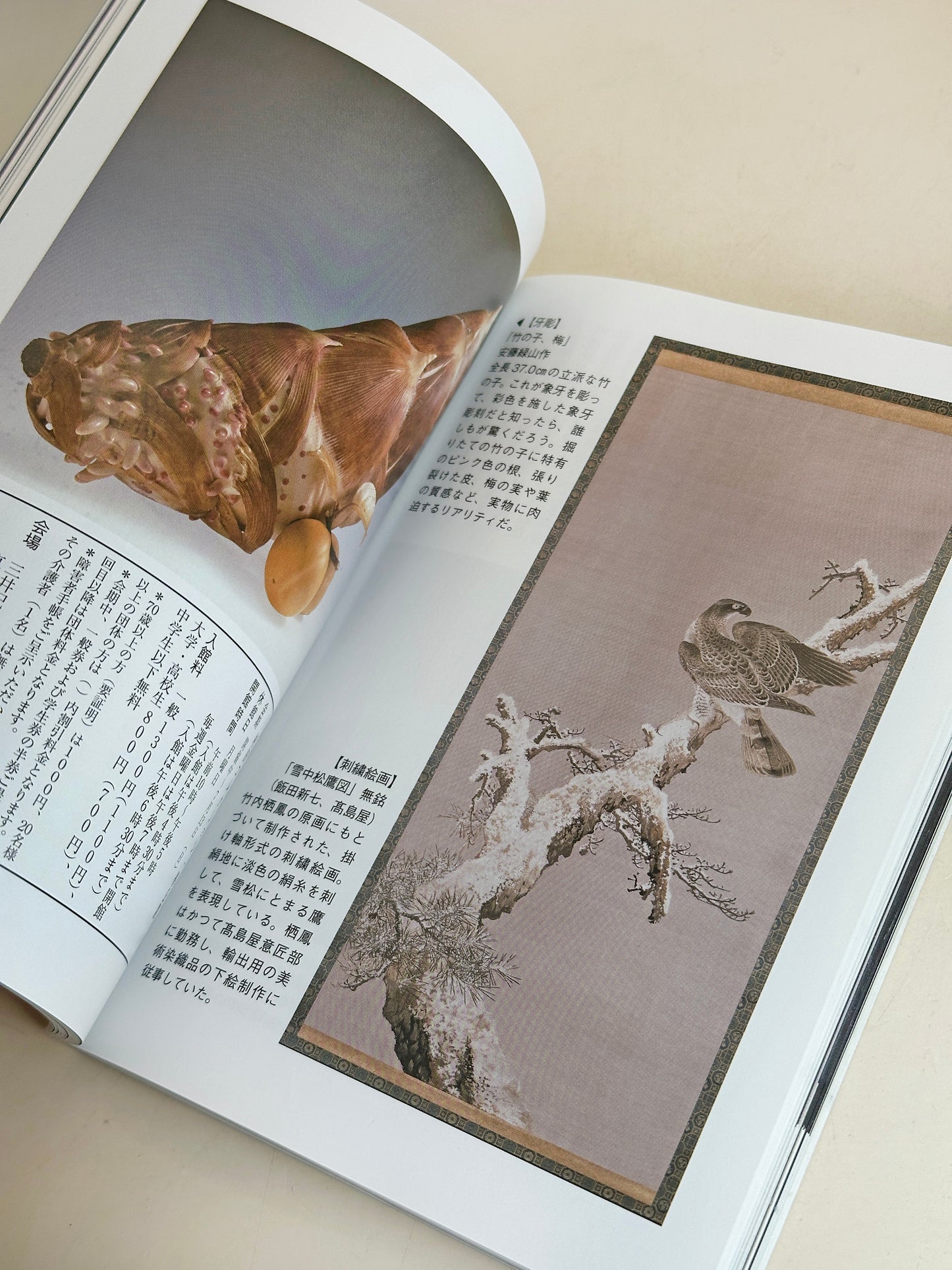 BK08 - Vintage Japan Book Meiji–Taishō Glass 明治大正 ガラス