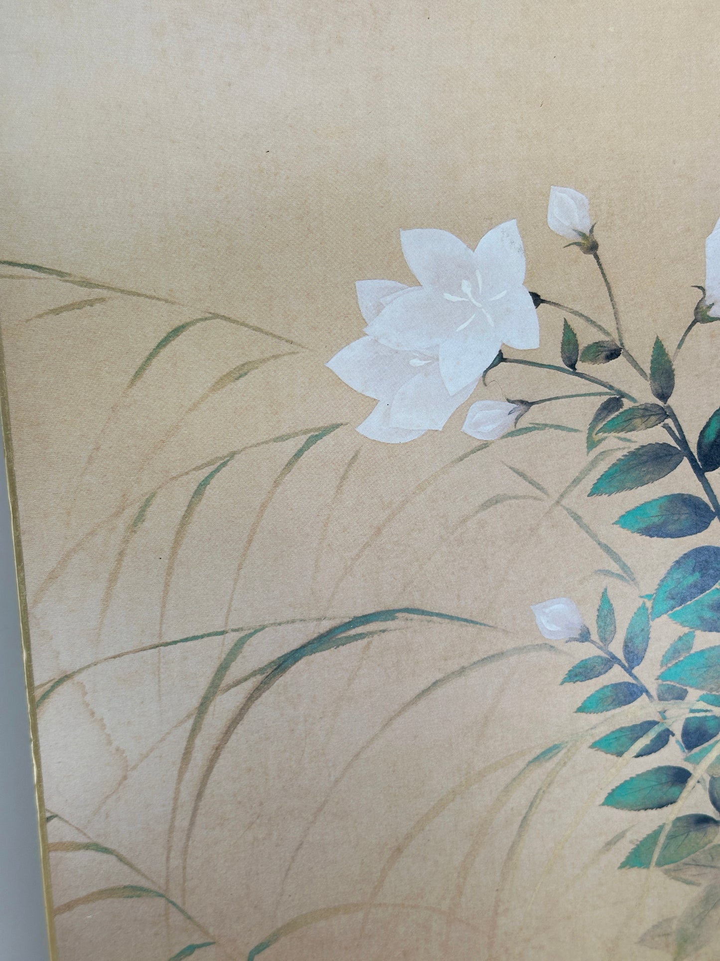 SHP295 - Shikishi print of Yokoyama Taikan 横山大観