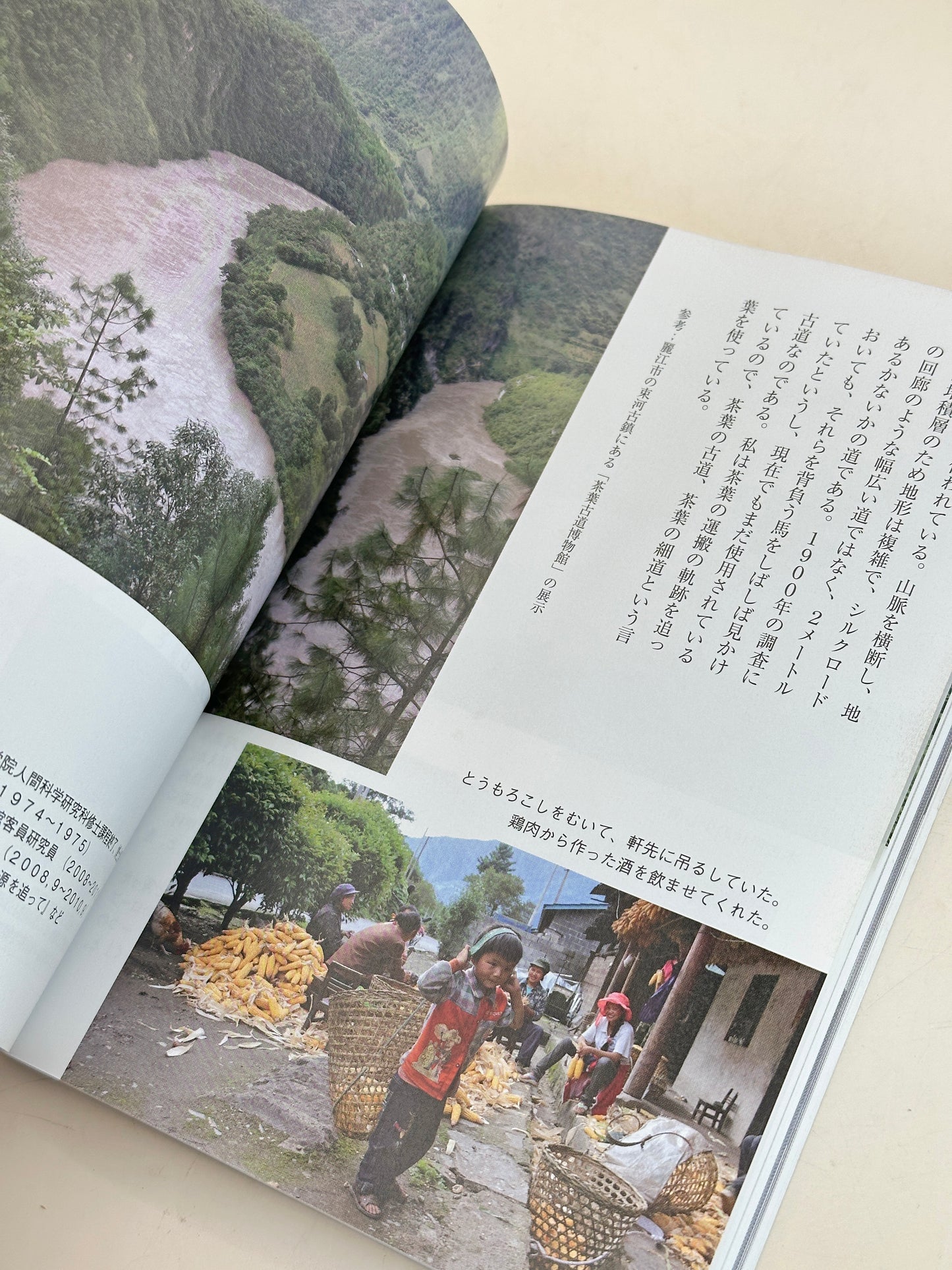 BK11 - Japon Ancien Livre laque 古漆器