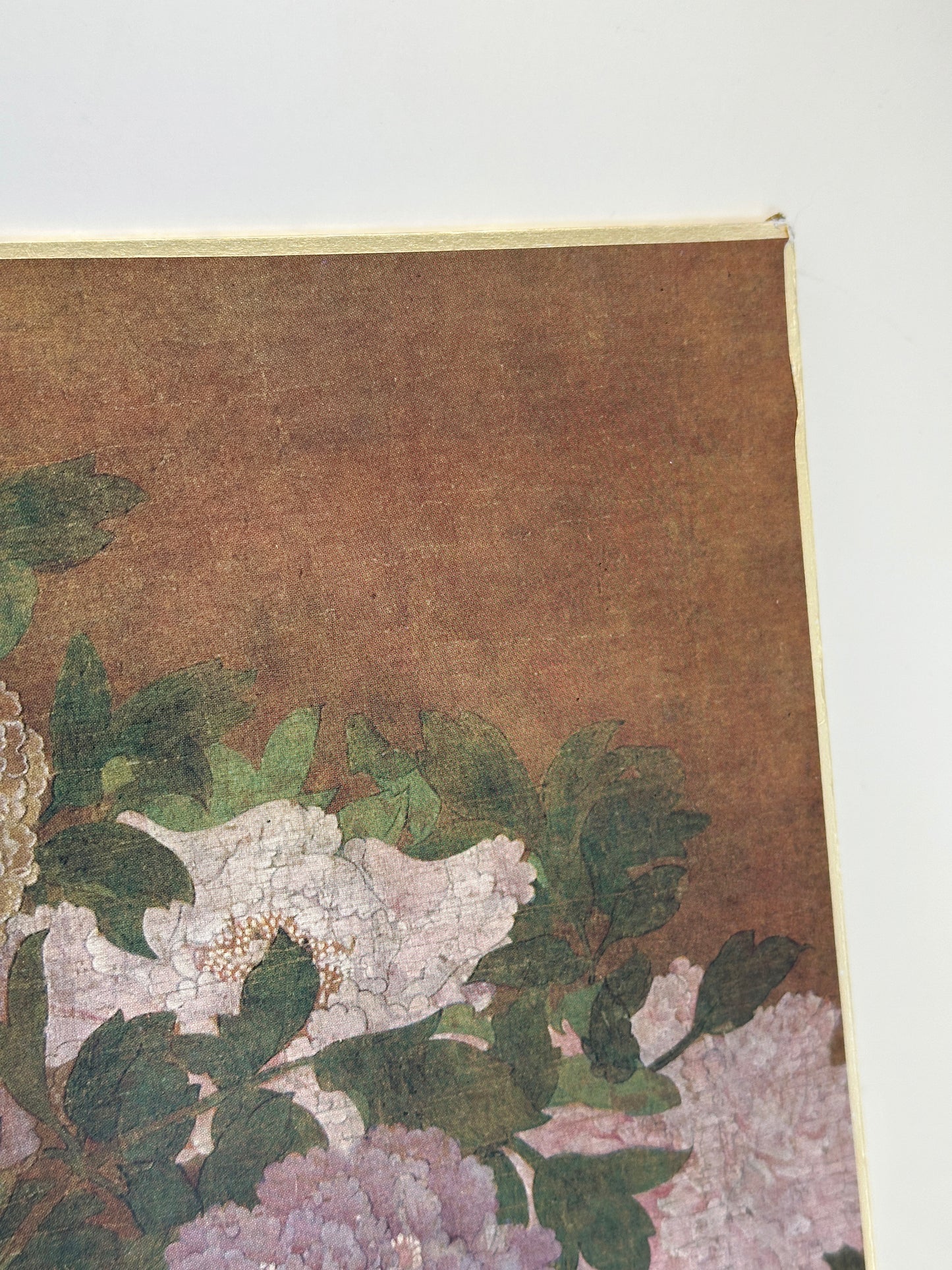 SHP296 - Impression Shikishi de peinture de pivoine 牡丹図
