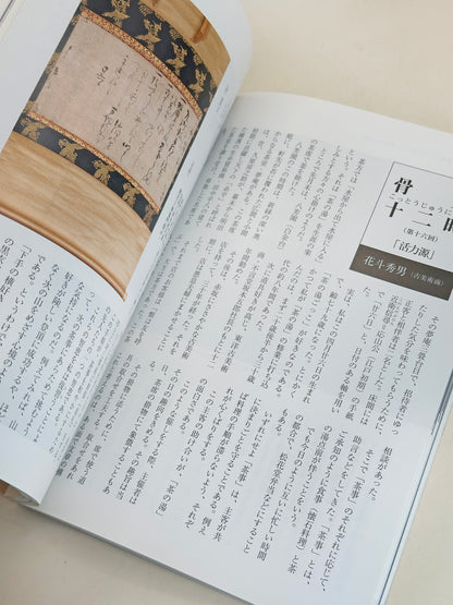 BK18 - Livre japonais vintage sur le Kyō-Satsuma 京薩摩